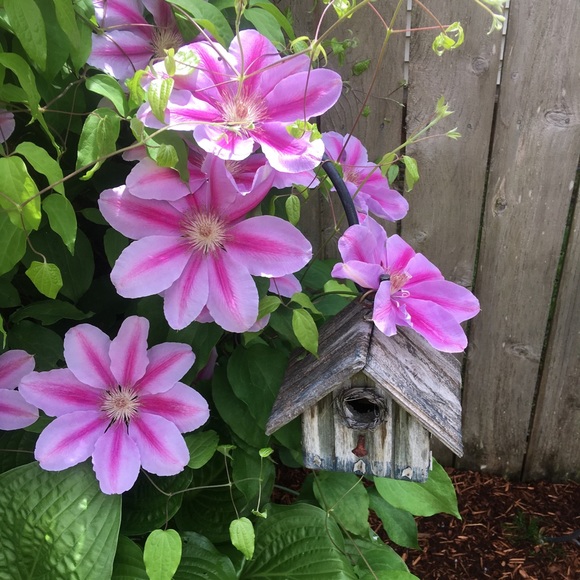 Meet your Posher, Linda - Picture 1 of 1